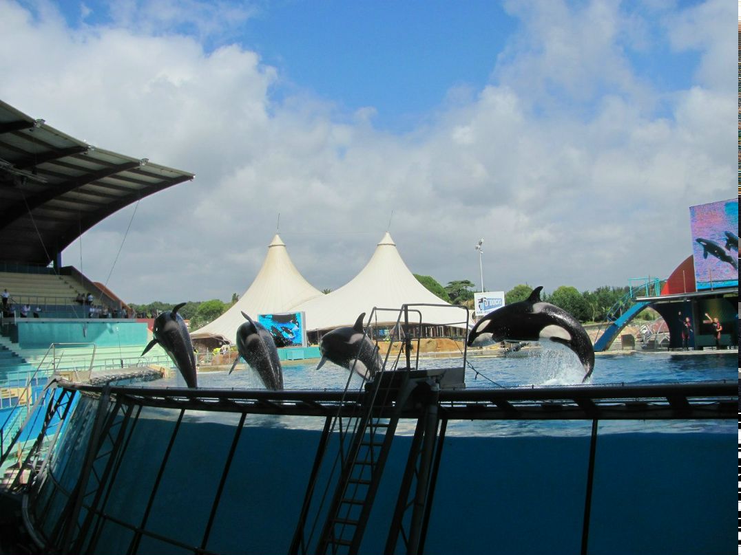 Татьяна Павлова | Москва