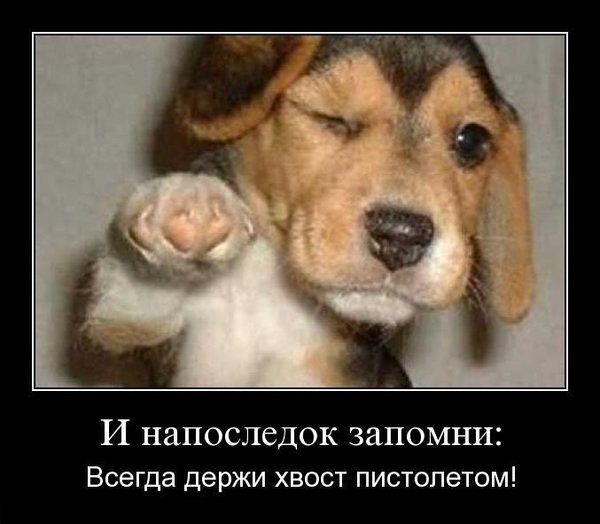 Денис Рожко | Кишинев