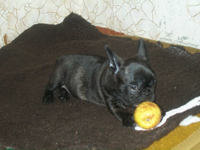 №40, Михаил Прохоров, 46 лет, Харьков №40, Михаил Прохоров, 46 лет, Харьков