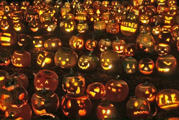 №60, Елена Емашева, 36 лет, Санкт-Петербург №60, Елена Емашева, 36 лет, Санкт-Петербург