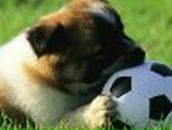 Сергей Антко - и - Светлана | Николаев