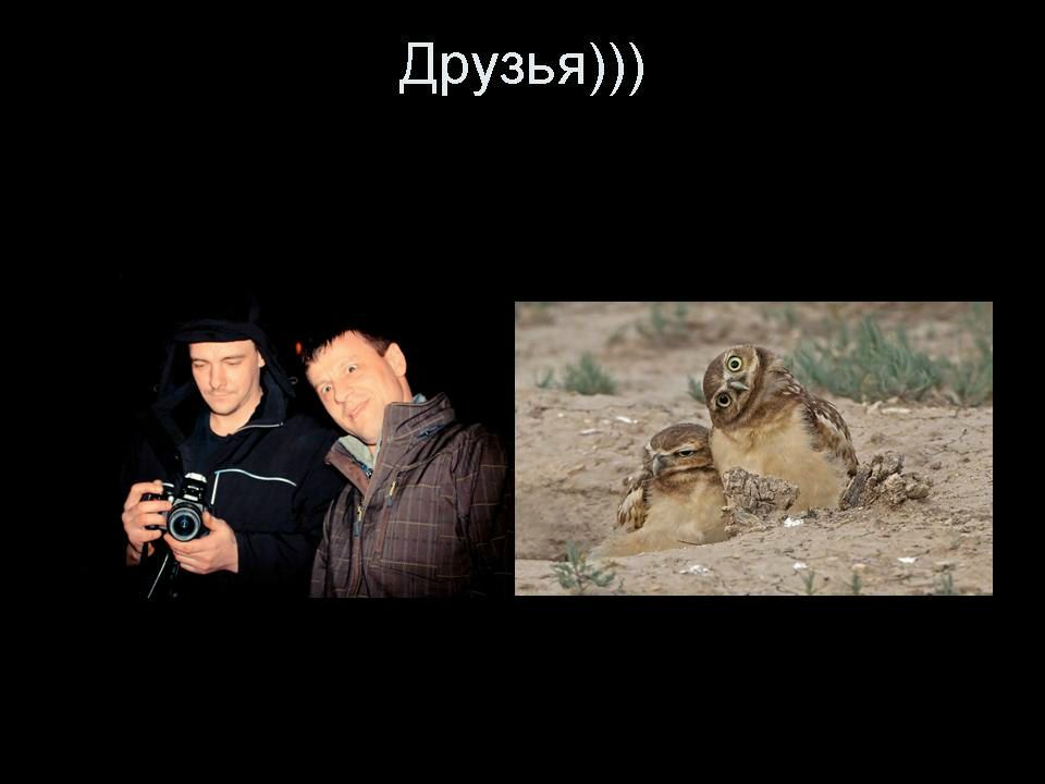 Андрей Поляков | Санкт-Петербург