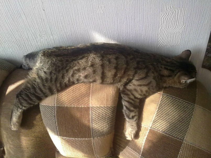 Татьяна Дружинина | Кинель