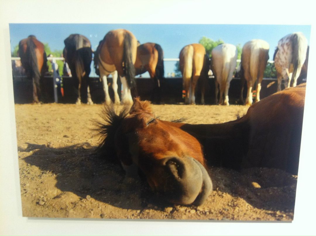 Алексей Матвеев | Москва