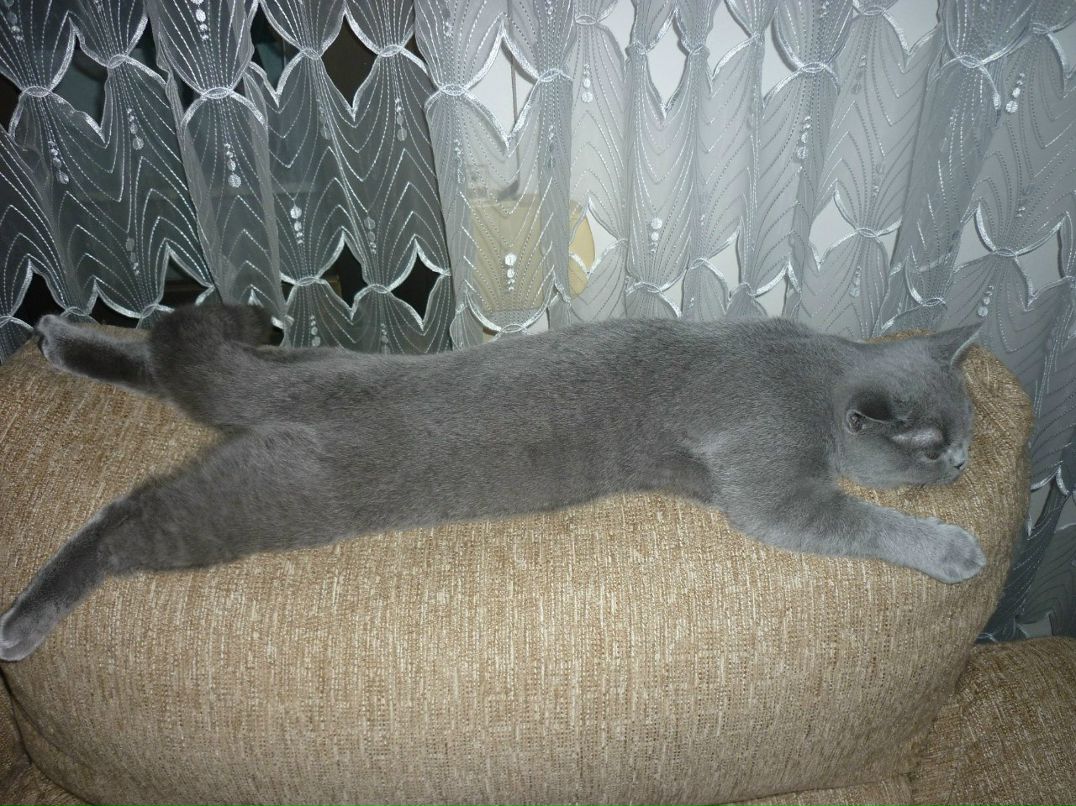 Ирина Журавлева | Barcelona