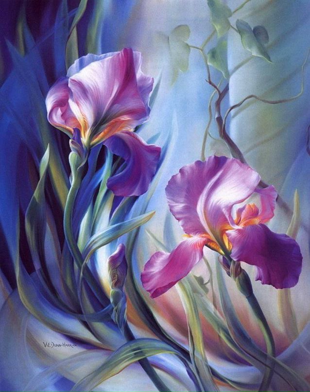 Настя Барбаренко | Montpellier