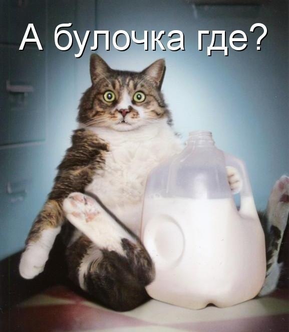 Екатерина Ммм | Москва