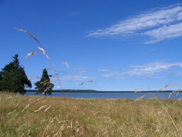 Максим Медяков | Фрязино