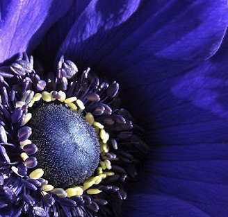 Ирина Мардасова | Санкт-Петербург