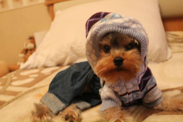 Оля Дивейкис фото профиля #4