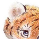 Алина Кузнецова СОВЕРШЕНСТВО | Красноярск