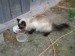 Мария Весна фотография #47