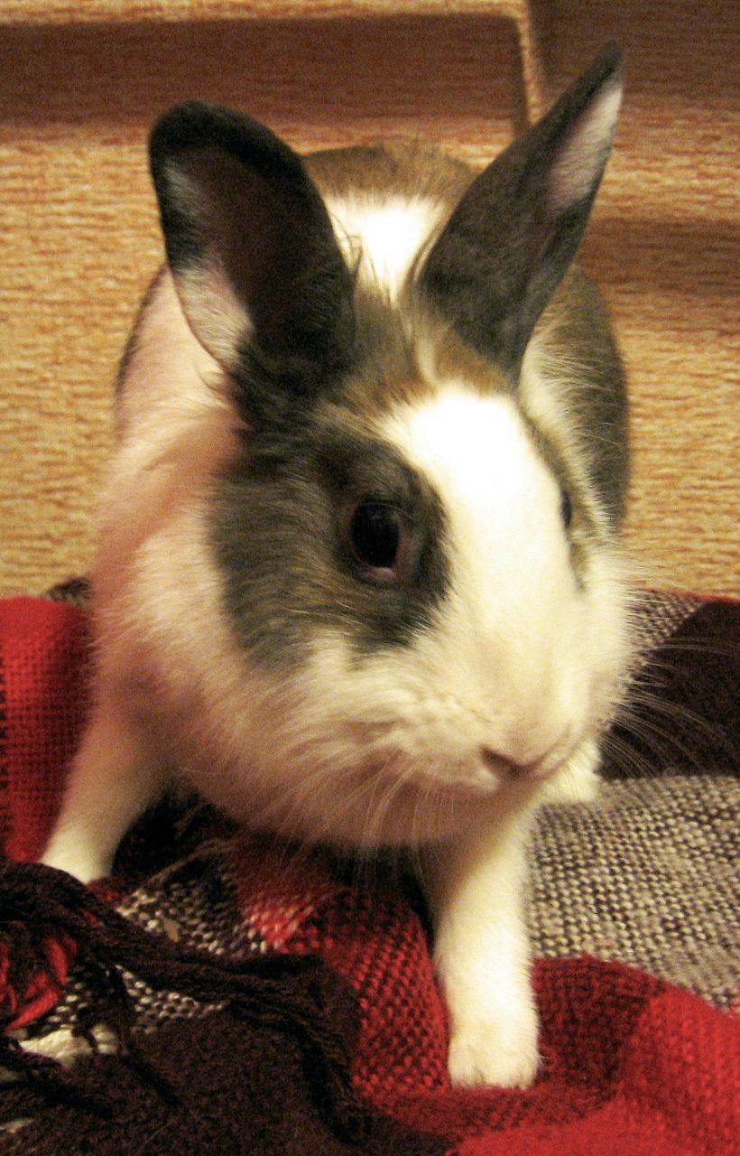 Katri Ausmees | Петрозаводск