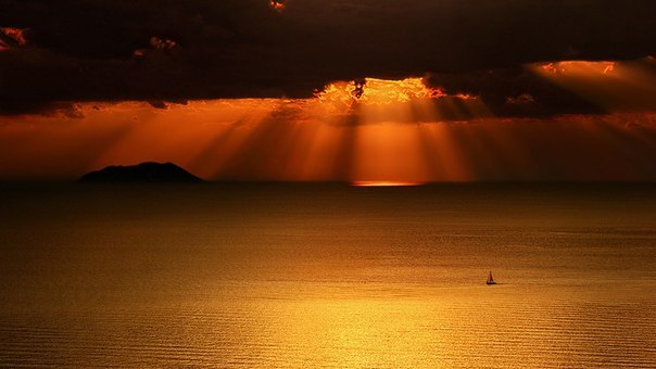 Анна Антименкова Нют | 