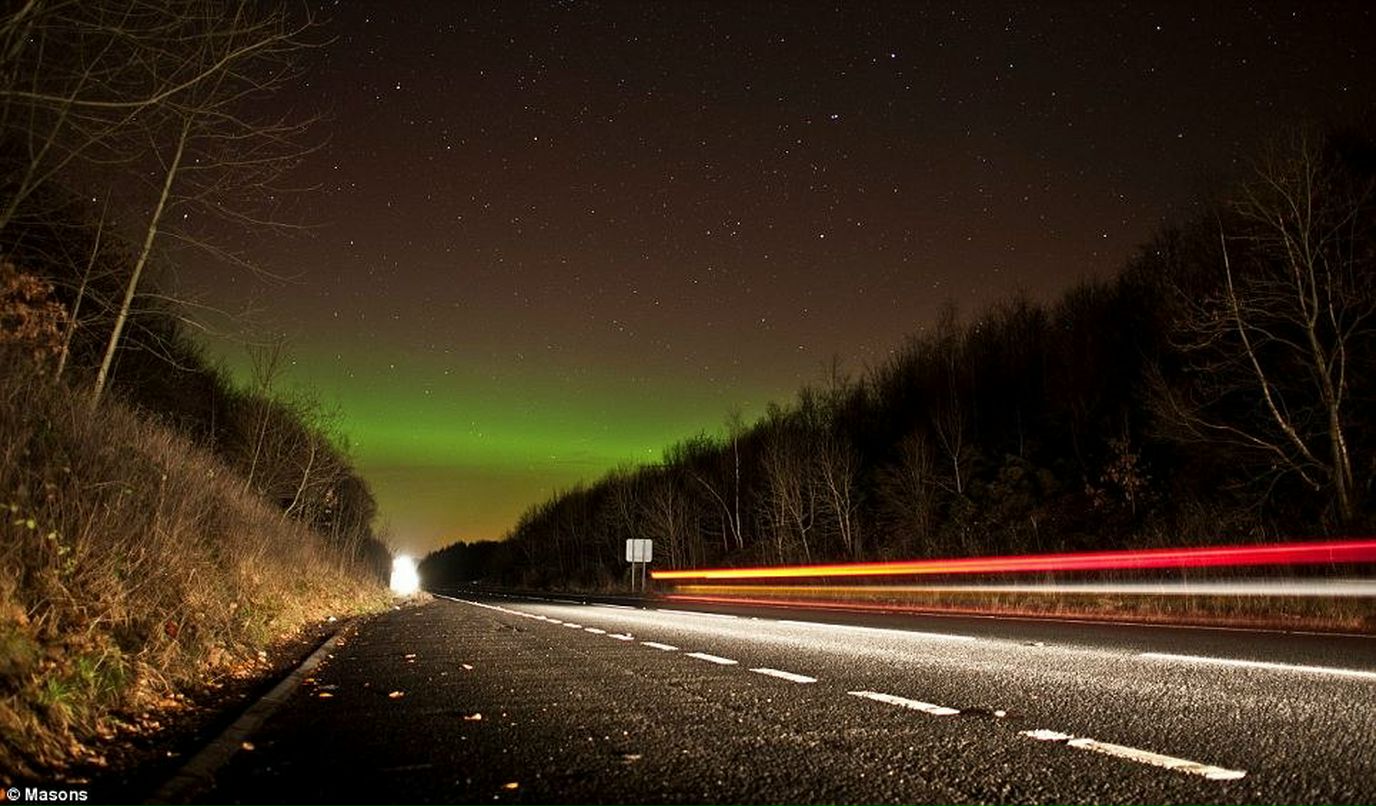 Светлана Зорина | Санкт-Петербург