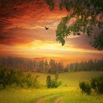 Vasyl Nychkalo | Львов