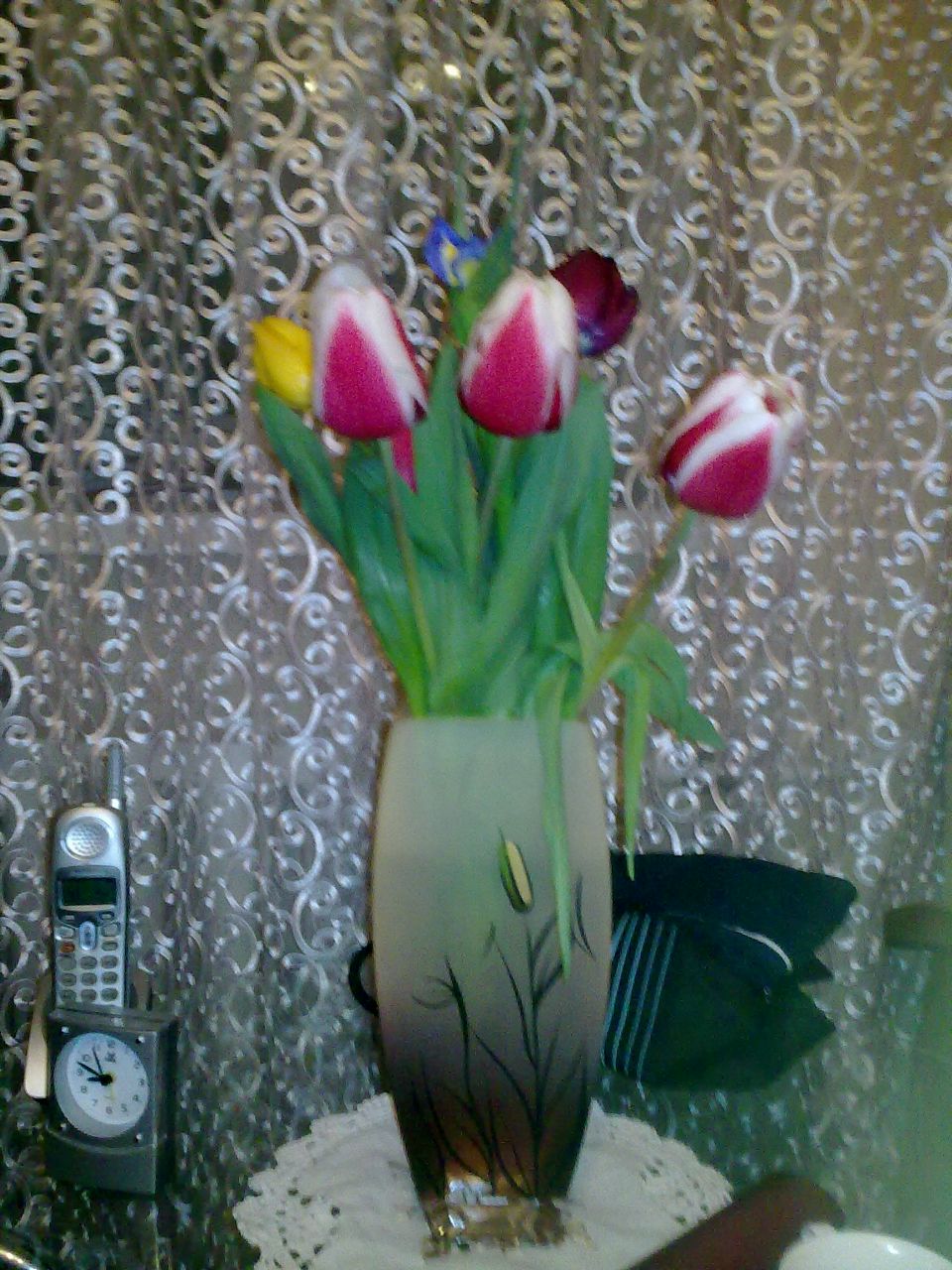 Юлия Когут | Симферополь