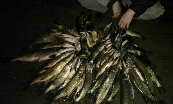 №45, Дмитрий Булгаков, 43 года, Феодосия №45, Дмитрий Булгаков, 43 года, Феодосия