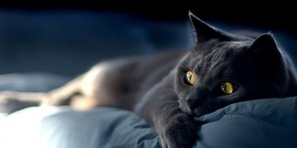 Ирина Семёнова | Киев