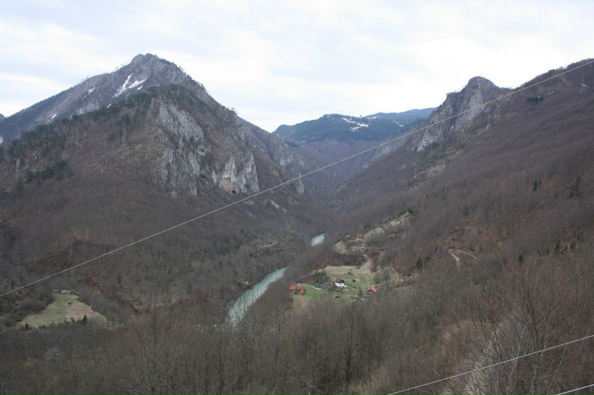 Владимир Бондаренко Orange | Москва