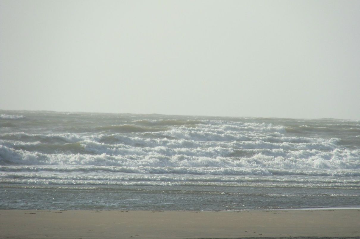 Татьяна Полякова | Рязань