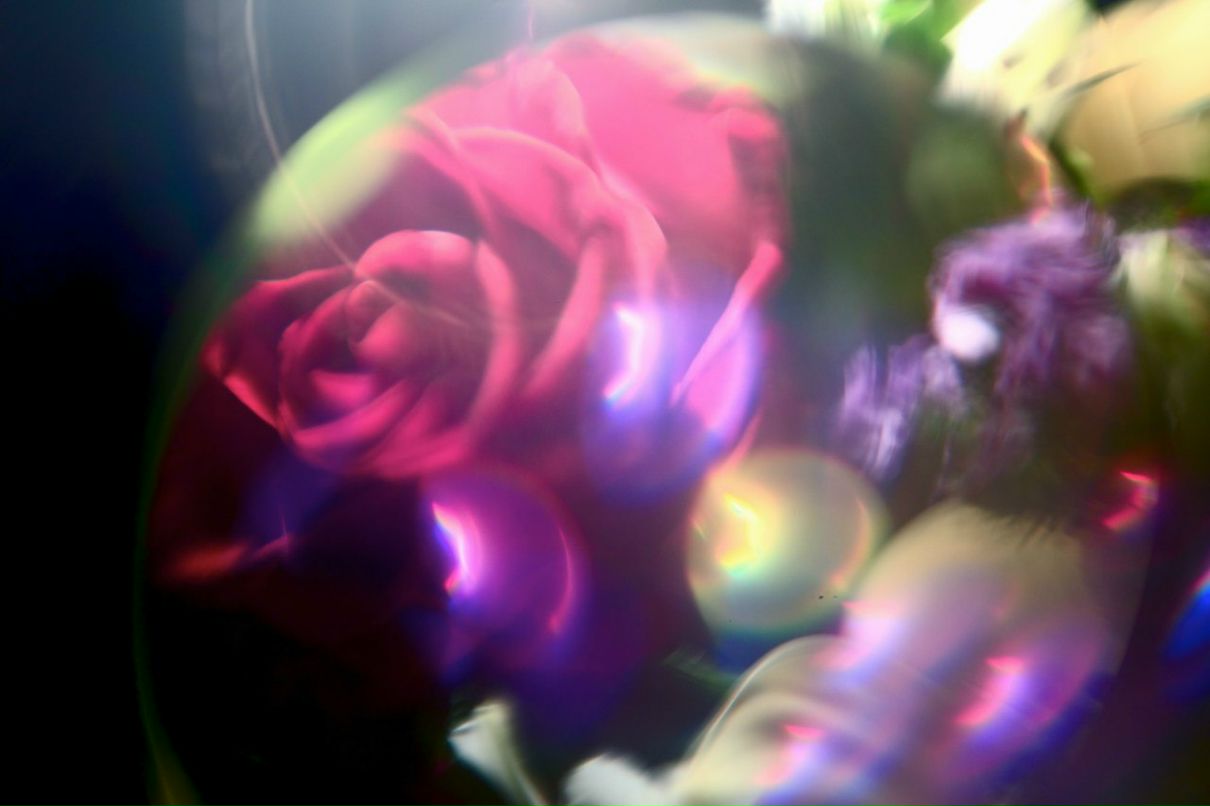 Валерия Травкина | Москва