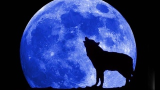 BOB SEGER  Shame on the Moon   1981  HQ