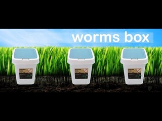 Worms box спустя неделю после запуска. Что входит в набор?Старатель. Красный калифорнийский червь.