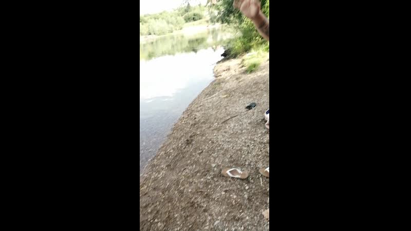 VID_20200730_165350.mp4