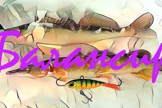 Pike and perch!!! Тест балансира Mebaru.