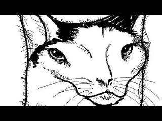 Ништяк Ответы на вопросы