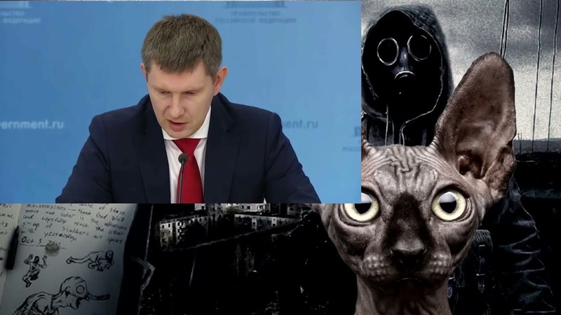 Телеграм канал кот костян
