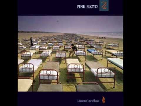 Learning to fly ( Pink