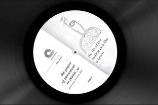 Commodity Place - Soils  [ The Power Of Movement In Plants Ep - ELE-R001]