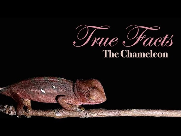 True Facts About The