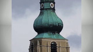 VERSTECKTE MOBILFUNKSENDER in Stadtpfarrkirche Baden: Bume und Pflanzen leiden unter der Strahlung