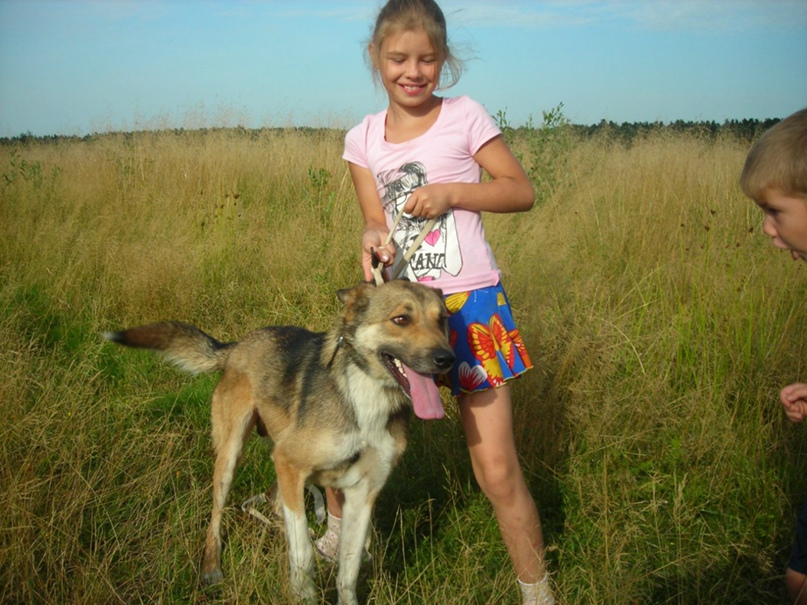 Михаил Колосков | Меленки