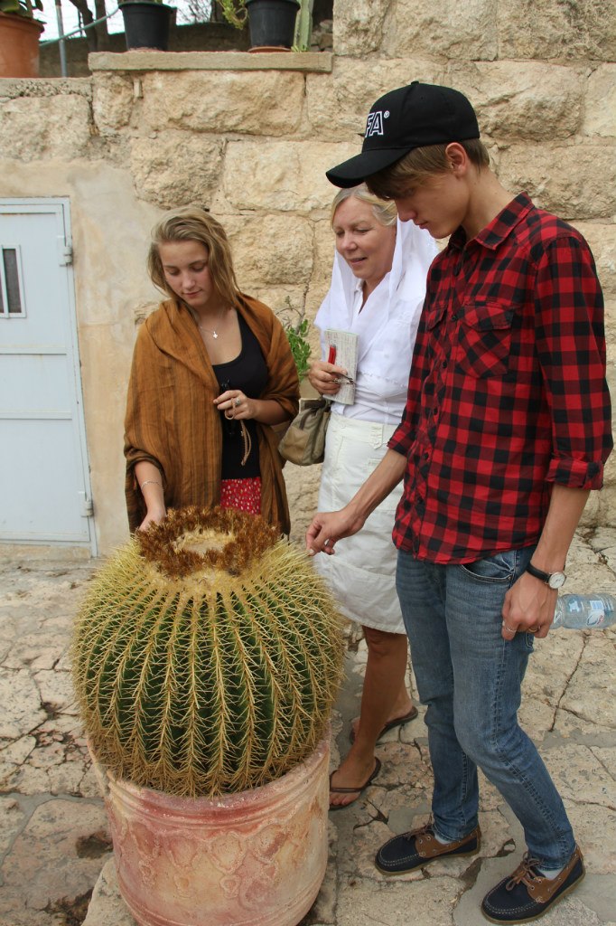 Иван Бирюков | Москва