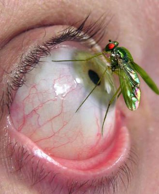 Алексей Чуркин | Санкт-Петербург