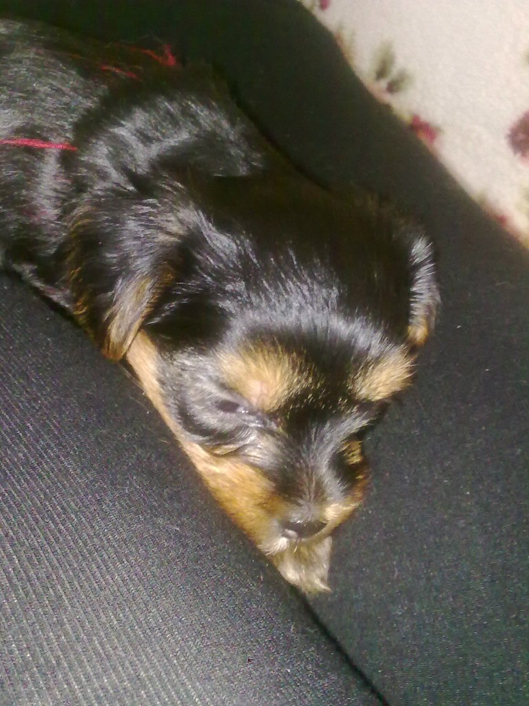 Любовь Рудакова | Партенит