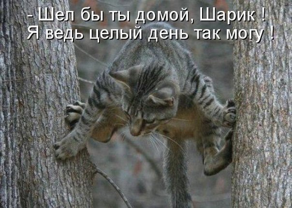 Дмитрий Чадов londo | Ленинск-Кузнецкий