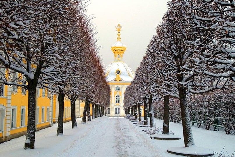 Алла Красавина | Санкт-Петербург