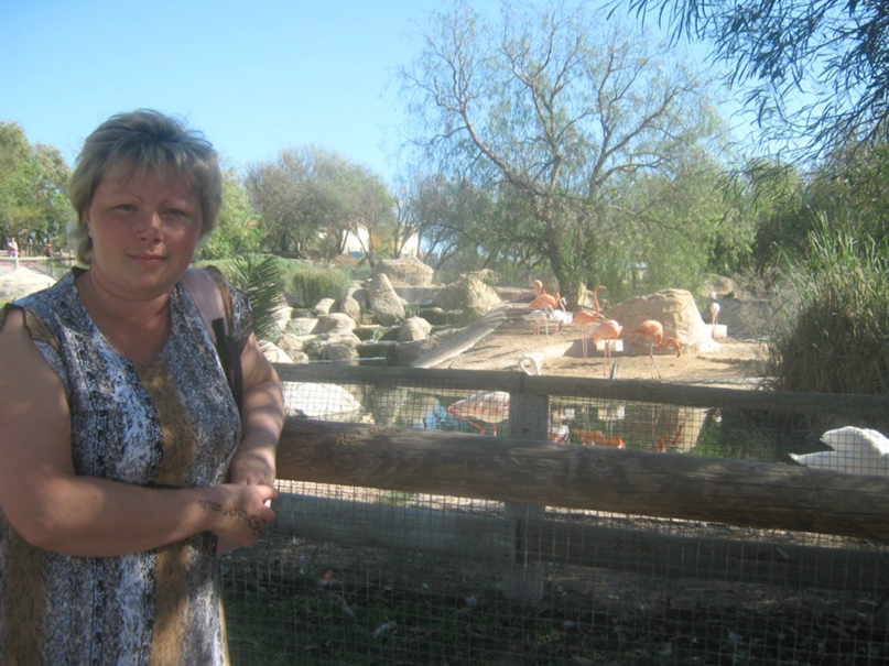 Светлана Степанова | Санкт-Петербург