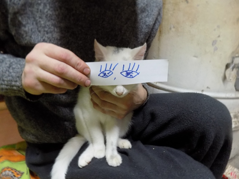 Евгений Иванов | Кварцитный