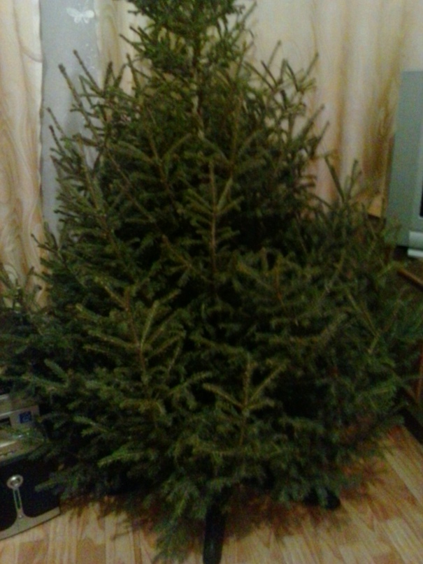 Наталья Штепа | Красноярск