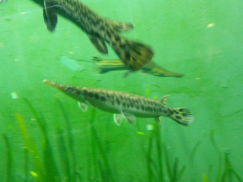 Анастасия Дегтярева | Волгоград