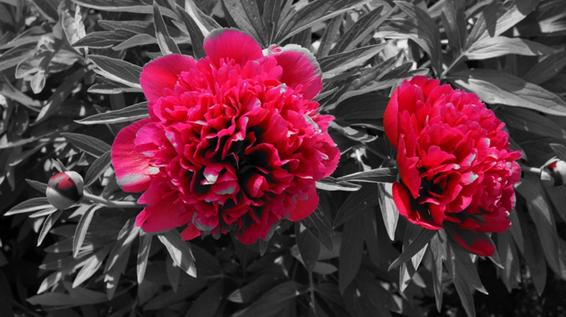 Евгения Акимова | Красноярск