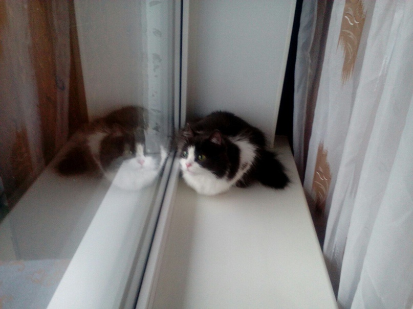 Светлана Фирсова | Петрозаводск