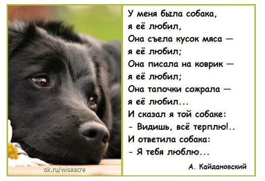 Татьяна Воронина |