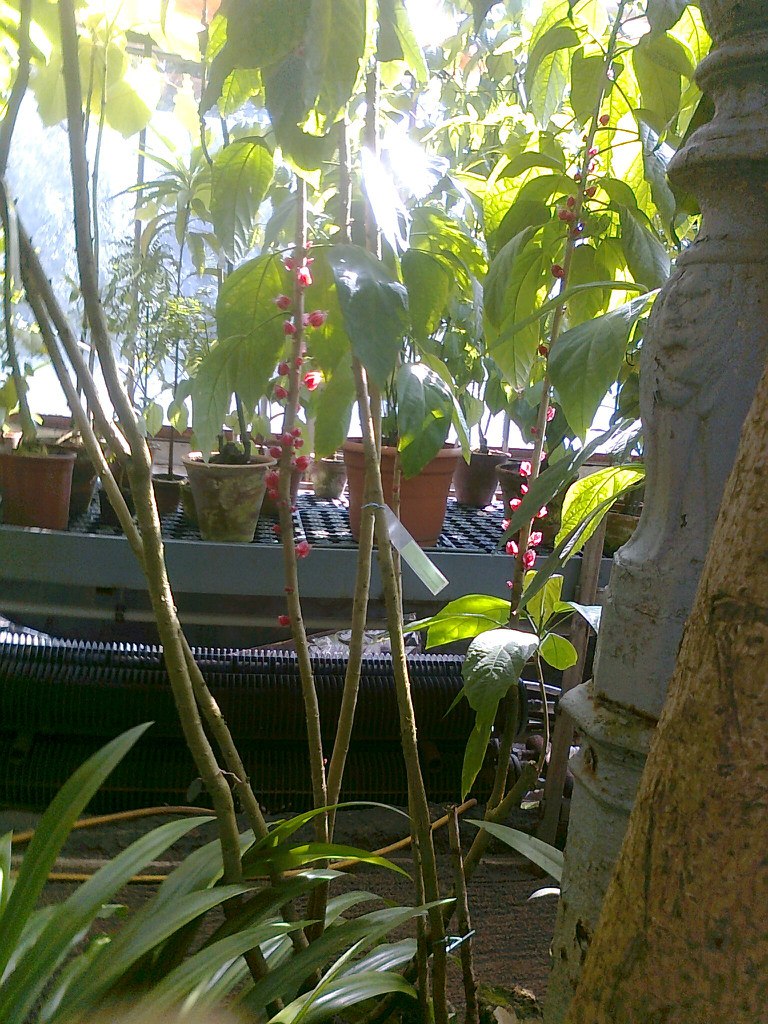 Надежда Жданова | Санкт-Петербург